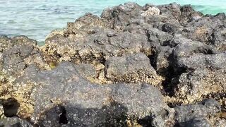 Zekreet, Qatar — первый выезд: где встать у волнореза