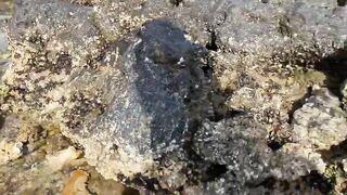 Zekreet, Qatar — первый выезд: где встать у волнореза