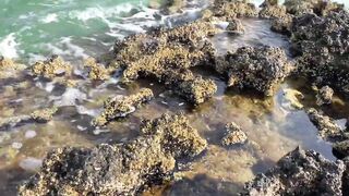 Zekreet, Qatar — первый выезд: где встать у волнореза