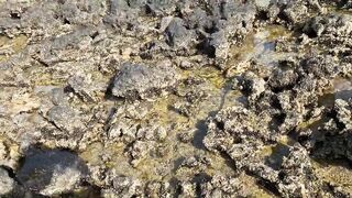 Zekreet, Qatar — первый выезд: где встать у волнореза