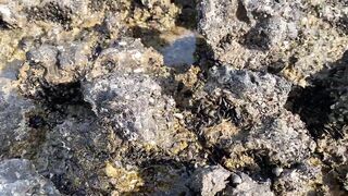 Zekreet, Qatar — первый выезд: где встать у волнореза