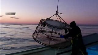 Залив Святого Лаврентия: рыбацкие общины и гостевой морской маршрут