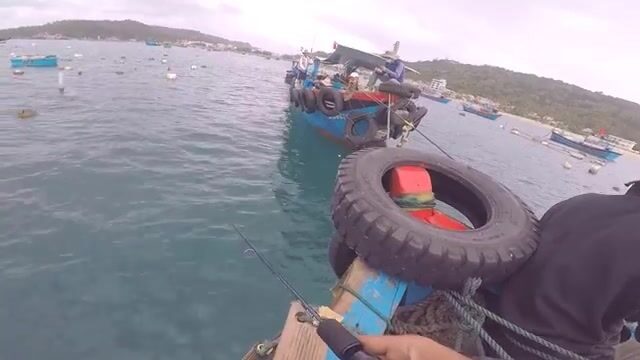 Наш утренний выезд к садкам для лобстеров у острова Кулаосань в Куинёне