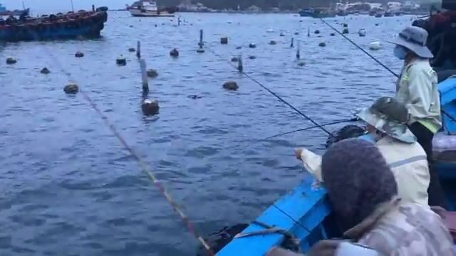 Наш утренний выезд к садкам для лобстеров у острова Кулаосань в Куинёне