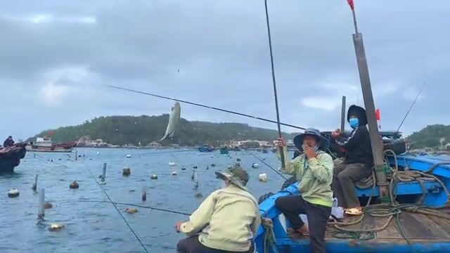 Наш утренний выезд к садкам для лобстеров у острова Кулаосань в Куинёне