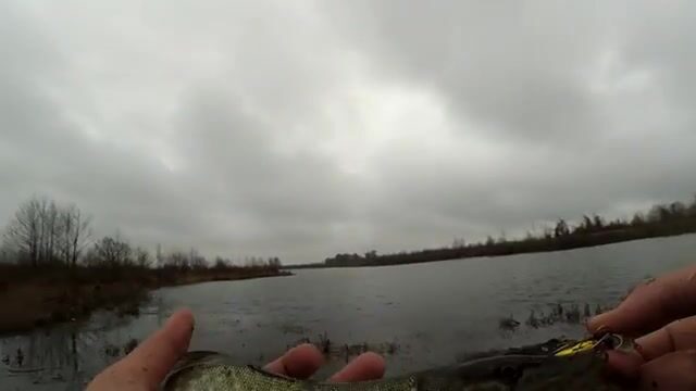На турнире в Набада мы взяли пятое место по щуке