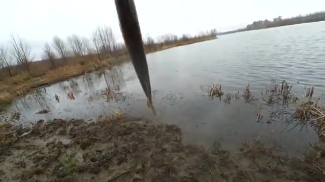 На турнире в Набада мы взяли пятое место по щуке