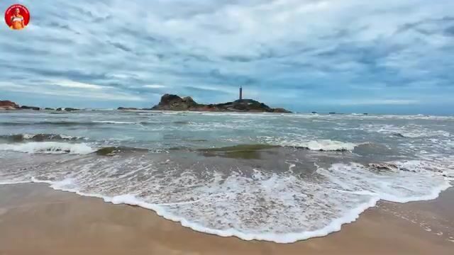 Утренний улов у рыбацких сетей в Кега с мягким крабом и каракатицами