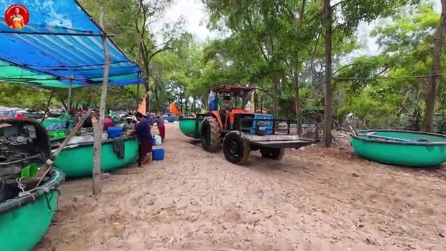 Утренний улов у рыбацких сетей в Кега с мягким крабом и каракатицами
