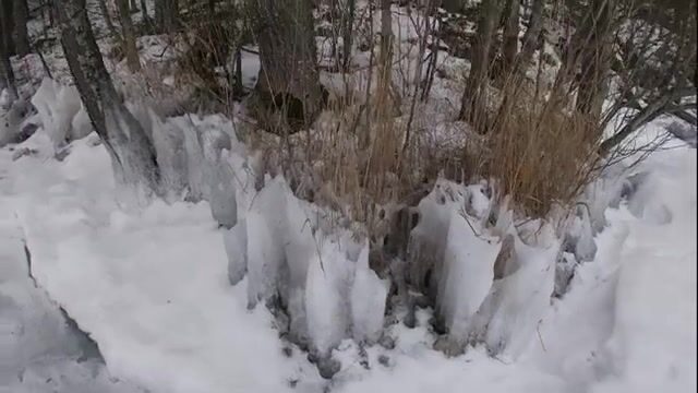 Ледовая ловля окуня у скалы на Онеге с блесной и переходом между лунками