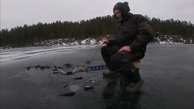 Ледовая ловля окуня у скалы на Онеге с блесной и переходом между лунками