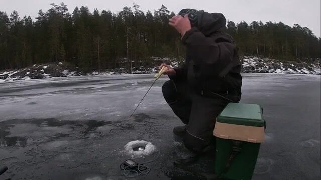 Ледовая ловля окуня у скалы на Онеге с блесной и переходом между лунками