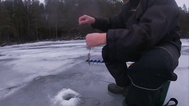 Ледовая ловля окуня у скалы на Онеге с блесной и переходом между лунками