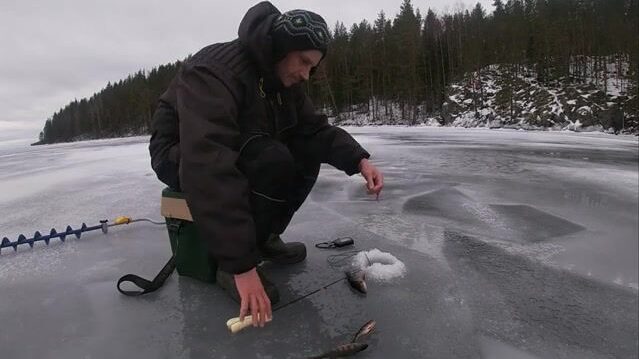 Ледовая ловля окуня у скалы на Онеге с блесной и переходом между лунками