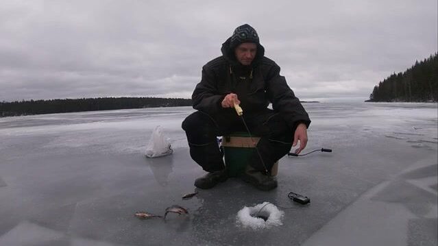 Ледовая ловля окуня у скалы на Онеге с блесной и переходом между лунками