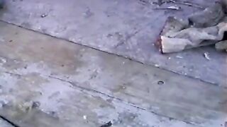 Кейп-Бройл, Ньюфаундленд: портовые воспоминания и рыболовный маршрут