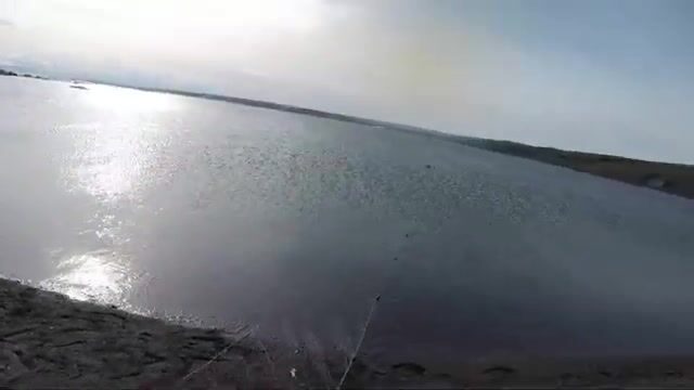 Выбор сети с гольцом и сельдью у острова Хершел в Северном Ледовитом океане