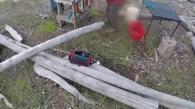 Выбор сети с гольцом и сельдью у острова Хершел в Северном Ледовитом океане