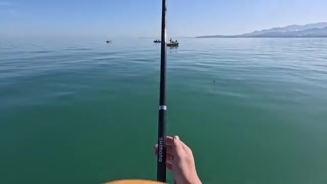 Первая морская рыбалка на ставриду у Анаклии в Грузии
