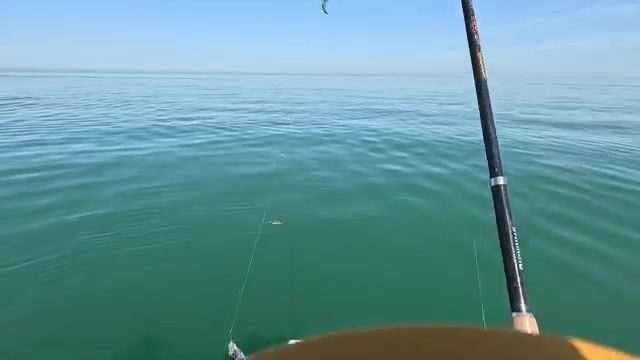 Первая морская рыбалка на ставриду у Анаклии в Грузии