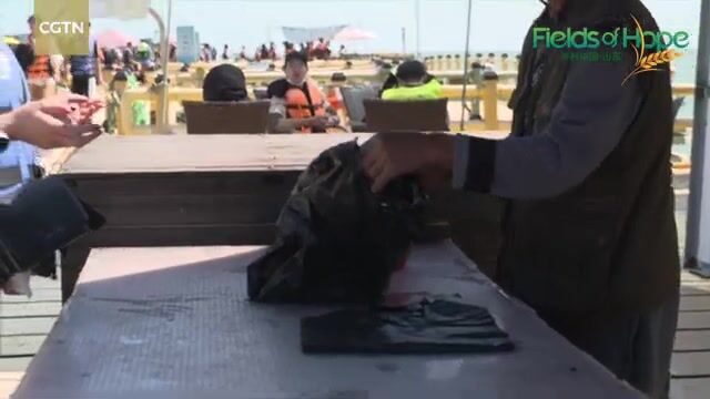 Поймали одну рыбу на морском ранчо у Вэйхая и приготовили обед