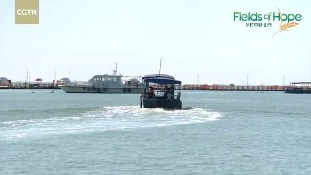 Поймали одну рыбу на морском ранчо у Вэйхая и приготовили обед