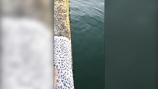 Смена наживки на бычка у полуразрушенной пристани в Поти