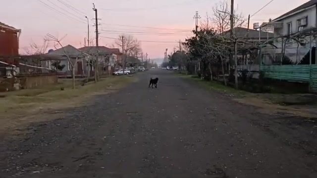 Смена наживки на бычка у полуразрушенной пристани в Поти