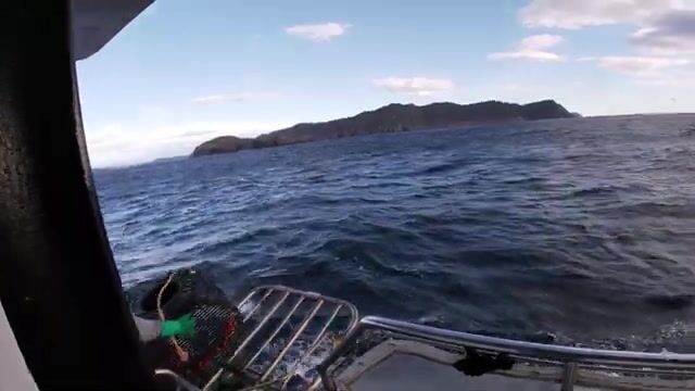 Утренняя выборка ловушек на лобстеров у Бруни в Тасмании