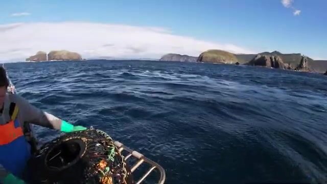 Утренняя выборка ловушек на лобстеров у Бруни в Тасмании