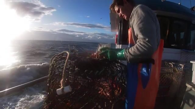 Утренняя выборка ловушек на лобстеров у Бруни в Тасмании