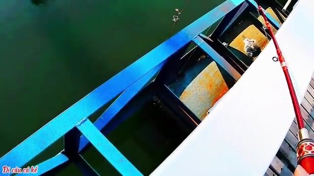 Воскресная рыбалка с поплавком в яхтенной марине Туанчау