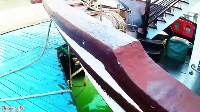 Воскресная рыбалка с поплавком в яхтенной марине Туанчау