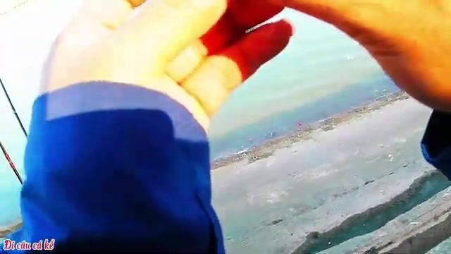 Воскресная рыбалка с поплавком в яхтенной марине Туанчау