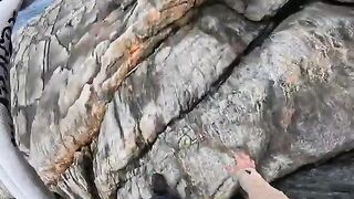 Скальная рыбалка на Южном океане, голубой губан и карри в лагере
