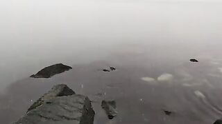 Приморск: береговая ловля глоссы и выбор азовского маршрута