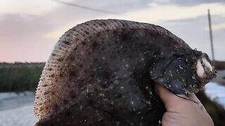 Приморск: береговая ловля глоссы и выбор азовского маршрута