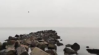 Приморск: береговая ловля глоссы и выбор азовского маршрута