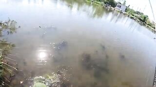 Ловля кефали с берега реки Капарчины в Поти снастью катамаран