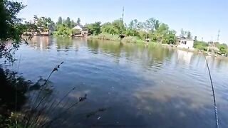 Ловля кефали с берега реки Капарчины в Поти снастью катамаран