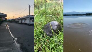Очамчира, Абхазия: морская тема и отдельный выход из Пицунды