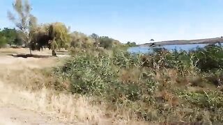 Приморское, Одесская область: две поклевки рядом и тишина у нас
