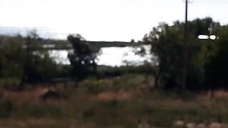 Приморское, Одесская область: две поклевки рядом и тишина у нас