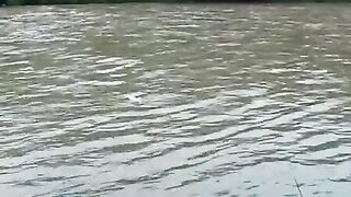 Кралево, Сербия: трофейная тема и спокойный план речного тура