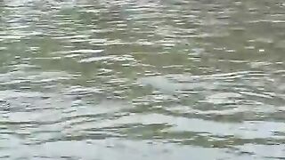 Кралево, Сербия: трофейная тема и спокойный план речного тура