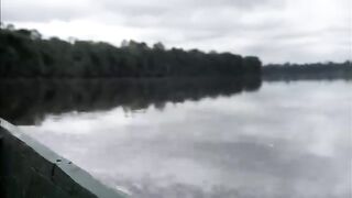 Лесная протока Суринама с куском пираньи на крупную аймару