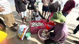 Микхе, Дананг: работа рыбаков на берегу и выход с удочками