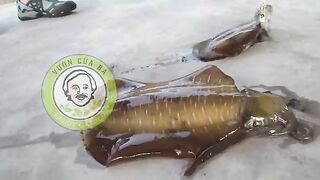 Острова Кото, Вьетнам: крупный рифовый кальмар и морской маршрут