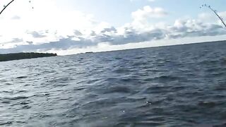 Троллинг лосося на Онежском озере и сход рыбы у дальней снасти