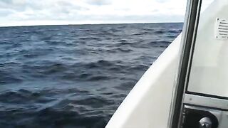Троллинг лосося на Онежском озере и сход рыбы у дальней снасти